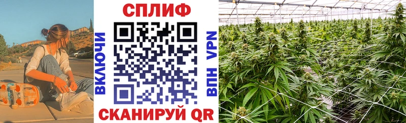 Купить наркотики цена Макаров МАРИХУАНА  Мефедрон  blacksprut ССЫЛКА  ГАШ 