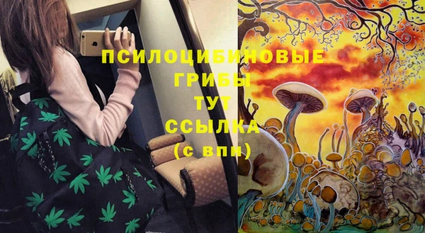 амф Армянск