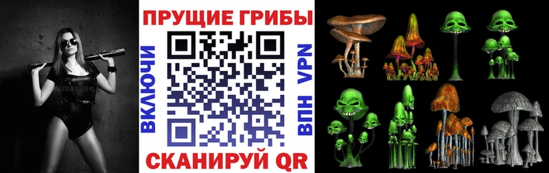 сколько стоит  Макаров  MEGA ссылка  Галлюциногенные грибы мухоморы 